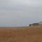 Iowa Farm