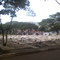 CEMITÉRIO DA SAUDADE. SÃO MIGUEL PAULISTA, SÃO PAULO-SP