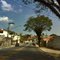 AfonsoLopesBaiao_b241111