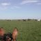 Panoramica Eguada com Cria