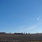 Contrails