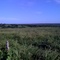 View from the end of LANILA AGROPECUARIA