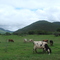 Fazenda Esperança