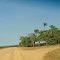 Fazenda Bacaeri
