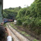 O trem e o túnel - Piraquara PR