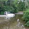 Wet djungle road