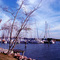 Rio Grande Yacht Club