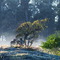 Nevoa