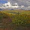 Upper New York Creek Drainage