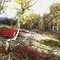 Fall Colors, Eureka-Rampart Road-Sept