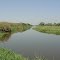 Rio Guapiaçu - Agrovila Bonanza - Cachoeiras de Macacu-RJ