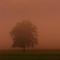 Sunset and fog
