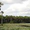 APA do Rio Curiaú, Macapá-AP
