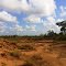 ICOMI. Cavas para depósito de minério contaminado. BR 156. Km 27. Macapá. AP