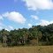 Cerrado. Macapá. AP.