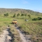 First Jeep journey to Ingarico's Reserve