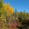Fall Colors, Goldstream Valley, Sep, 2010