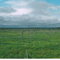 Caribou Crossing, Bridge Access Rd., Kenai, AK, JUL96