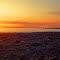 Evening Shoreline