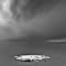 Floating Ice BW.