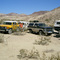 The herd pauses at Borate - Desert Explorers Oct '08