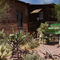 Calico ghost town