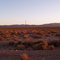 Mojave desert