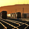 UP Yermo Yard at sunset