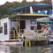 Look close!  Only in Heber Springs, AR