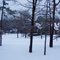 Snow in February 2010