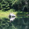 Poboys Fishin' fer Trout