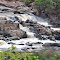 Cotingo - Cachoeira do Tamanduá