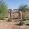The Best Landscape instalation in MESQUITE POWER PLANT