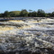 Cotingo River