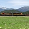 Indian Valley Ca, BNSF HiLine