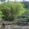 cachoeira do bambú