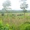 Fazenda santa bárbara