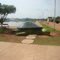 Tartaruga no lago municipal