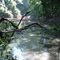 Aspecto de um meandro sazonal amazônico - Guarantã do Norte - MT