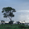 Fim de Tarde