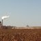 Usina sucroenergética - leira de bagaço de cana