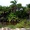 River near beach of the Forte, Mata de São João, Bahia, Brazil