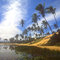 Praia do Forte