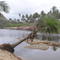 Imbassaí - BA - BR