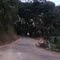 Caminho para entrada da Fazenda Santa maria