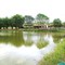 Lago de Pesca