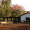 Fazenda Zaccarchenko,Sumaré,São Paulo,Brazil