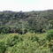 Amazonia