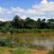 Ariquemes - Rio Jamari Panorama