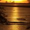 FINAL DE TARDE COR DE COBRE